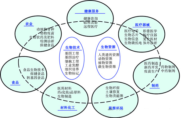 生物經(jīng)濟(jì),一諾生物,廠家,工廠,生產(chǎn)廠家,生物經(jīng)濟(jì)規(guī)模